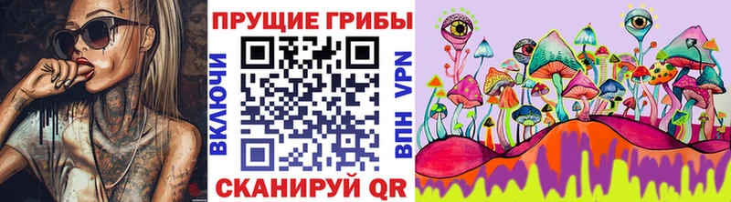 Псилоцибиновые грибы мицелий Заозёрный