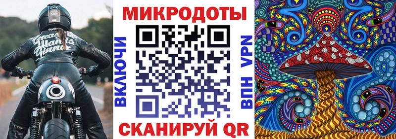 гидра сайт  Заозёрный  Галлюциногенные грибы Psilocybine cubensis 