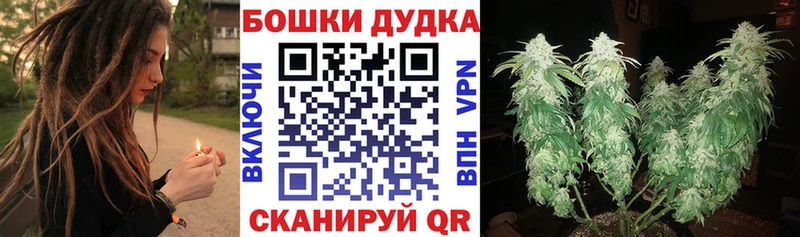купить наркотик  Заозёрный  Конопля семена 
